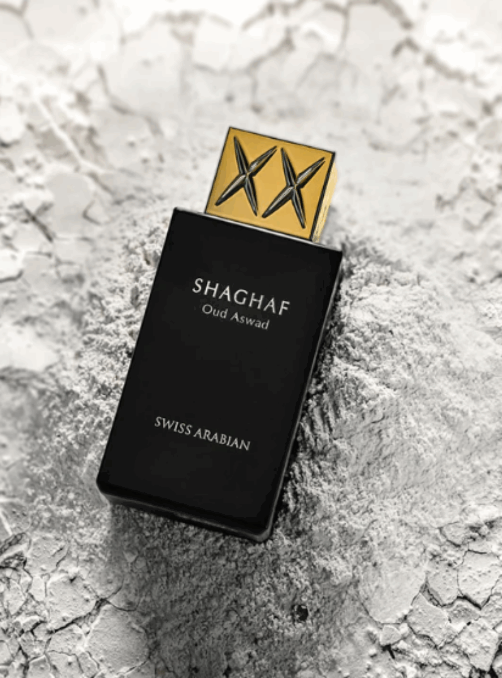 Shaghaf Oud Aswad